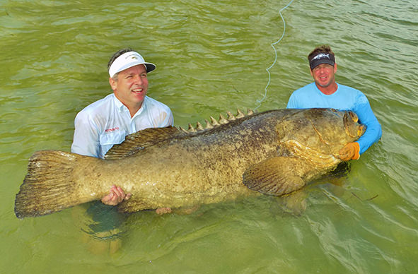 Boca Grande and Englewood Goliath Grouper fishing charter photos.
