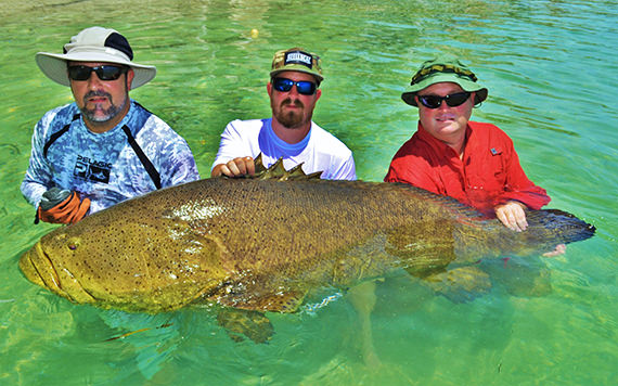 Goliath Grouper caught off Boca Grande with Florida Inshore Xtream fishing charters.
