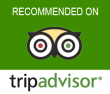 TripAdvisor reviews.