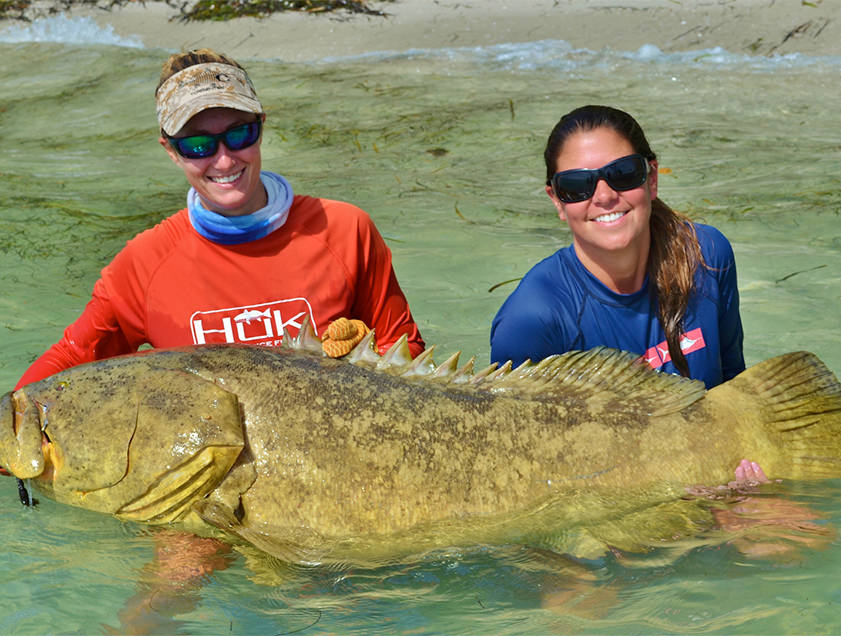 Boca Grande and Englewood goliath_grouper fishing charter photos.