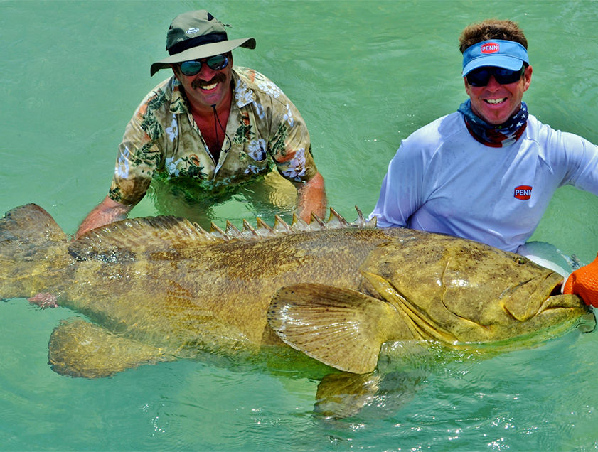 Boca Grande and Englewood goliath_grouper fishing charter photos.