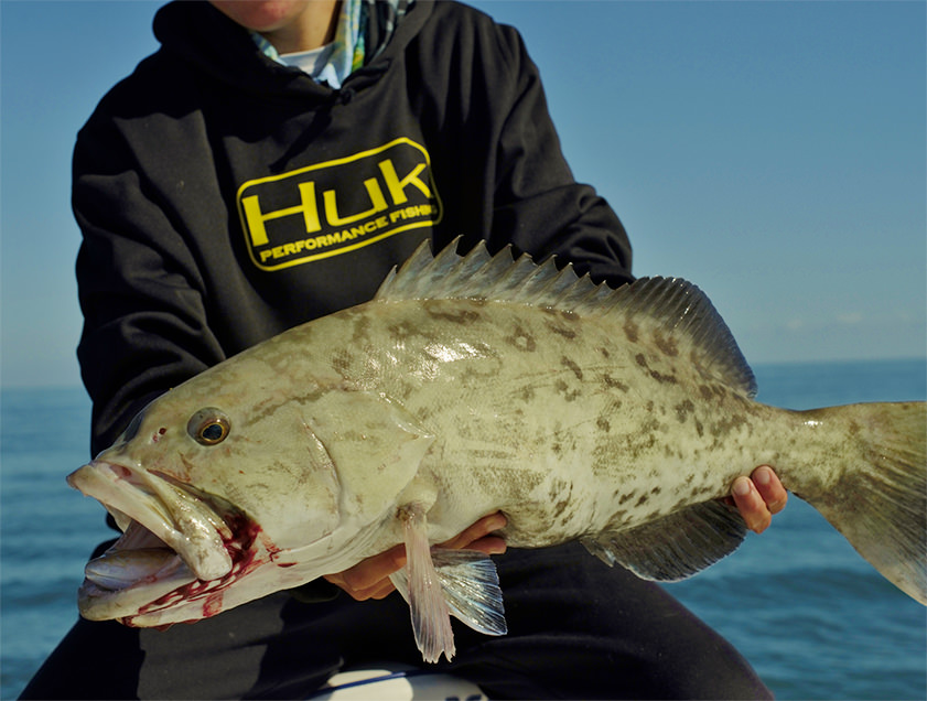 Boca Grande and Englewood nearshore fishing charter photos.