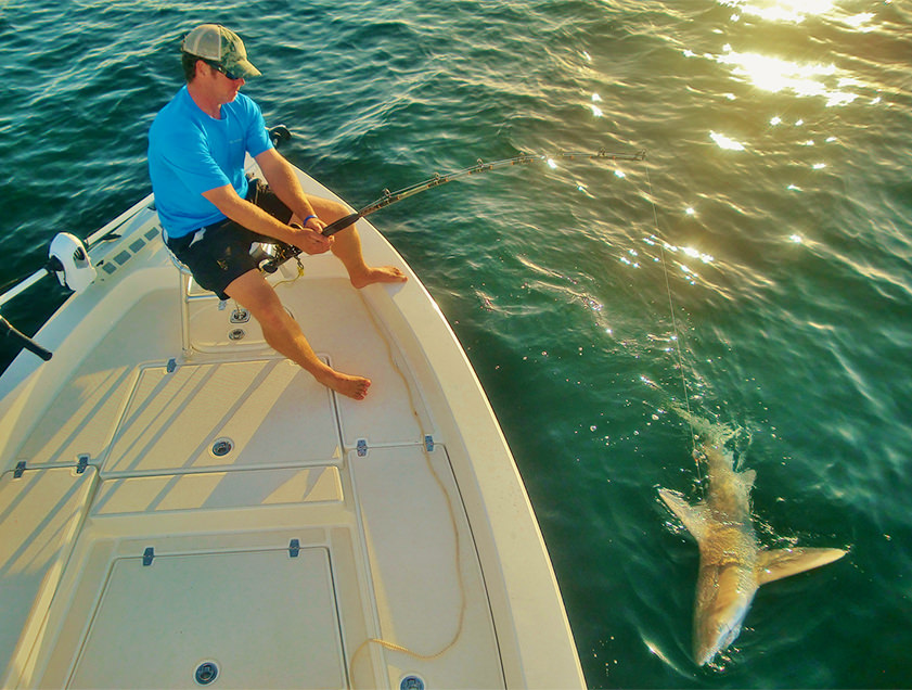 Boca Grande and Englewood nearshore fishing charter photos.