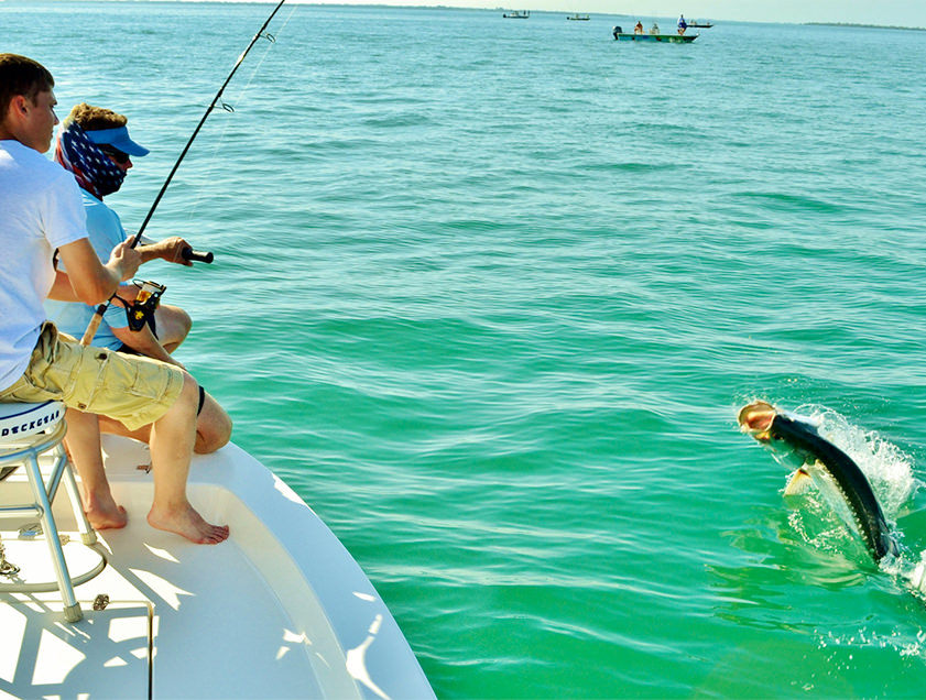 Boca Grande and Englewood tarpon fishing charter photos.