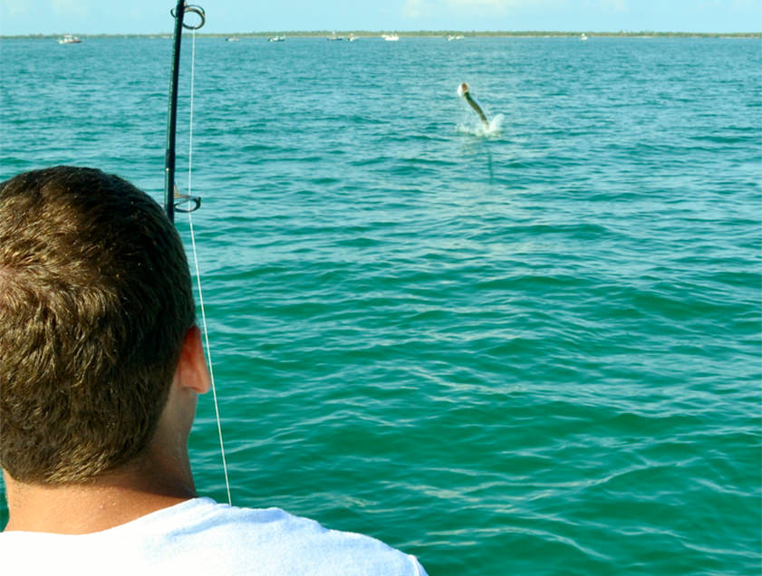 Boca Grande and Englewood tarpon fishing charter photos.