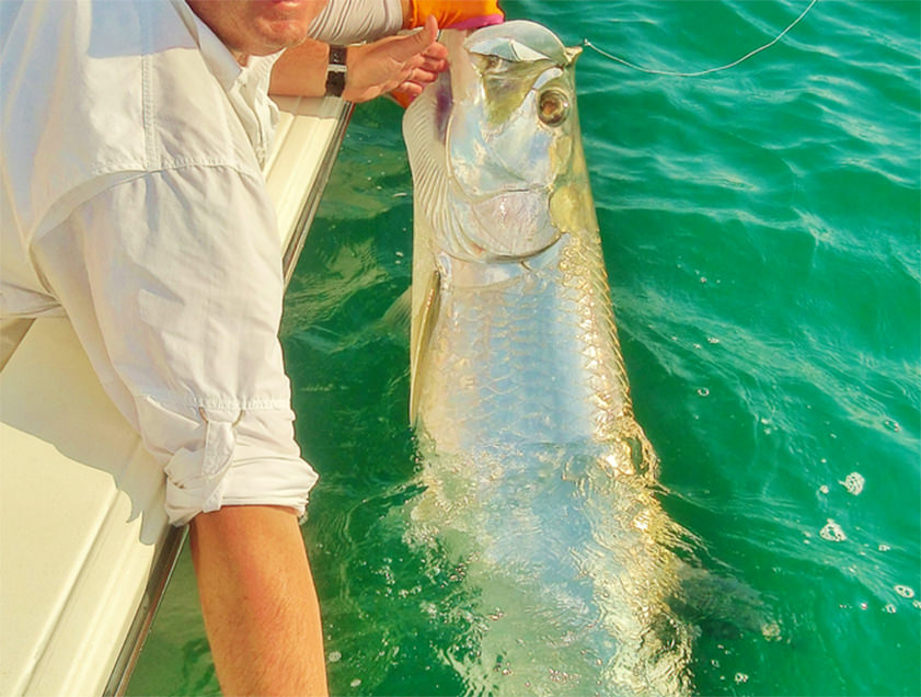 Boca Grande and Englewood tarpon fishing charter photos.