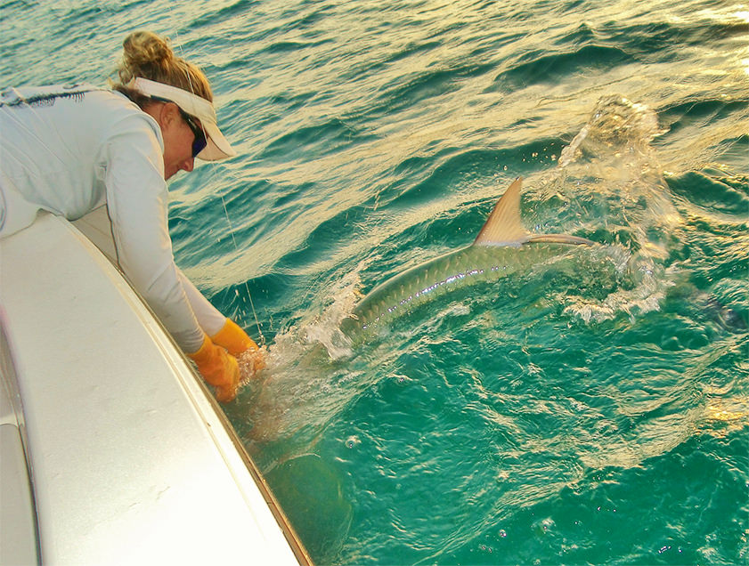 Boca Grande and Englewood tarpon fishing charter photos.