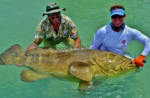Boca Grande and Englewood goliath grouper fishing charter photos.