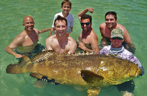 Boca Grande and Englewood goliath grouper fishing charter photos.